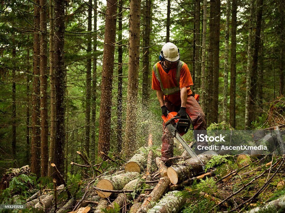 Strona główna istockphoto 493251552 1024x1024
